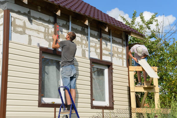 Best Vinyl Siding Installation  in Mount Prospect, IL